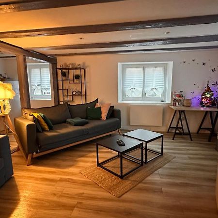 Le Nid Cosy D'Obernai /2Min Centre Ville/Parking Exteriér fotografie