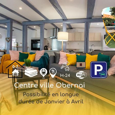 Le Nid Cosy D'Obernai /2Min Centre Ville/Parking Exteriér fotografie