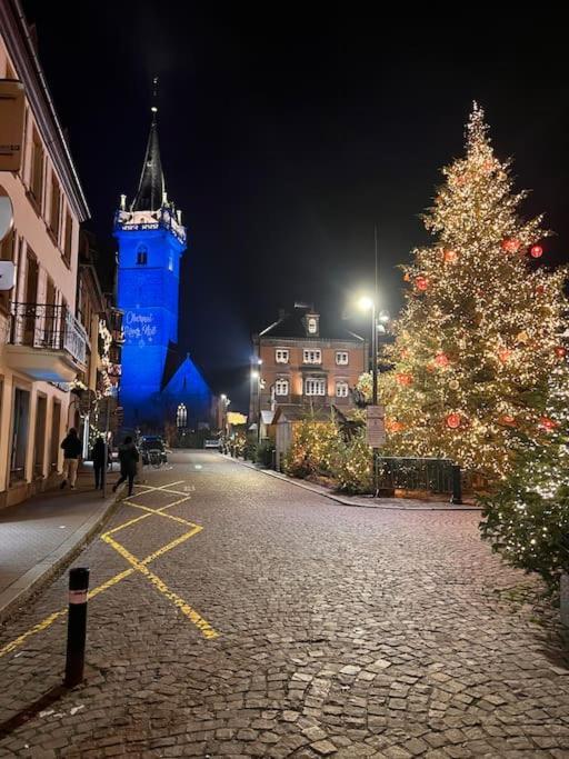 Le Nid Cosy D'Obernai /2Min Centre Ville/Parking Exteriér fotografie