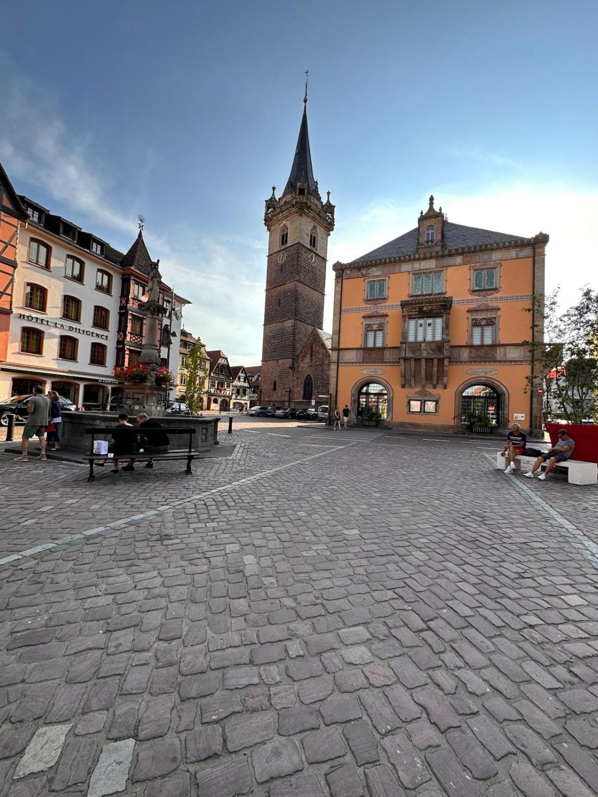Le Nid Cosy D'Obernai /2Min Centre Ville/Parking Exteriér fotografie