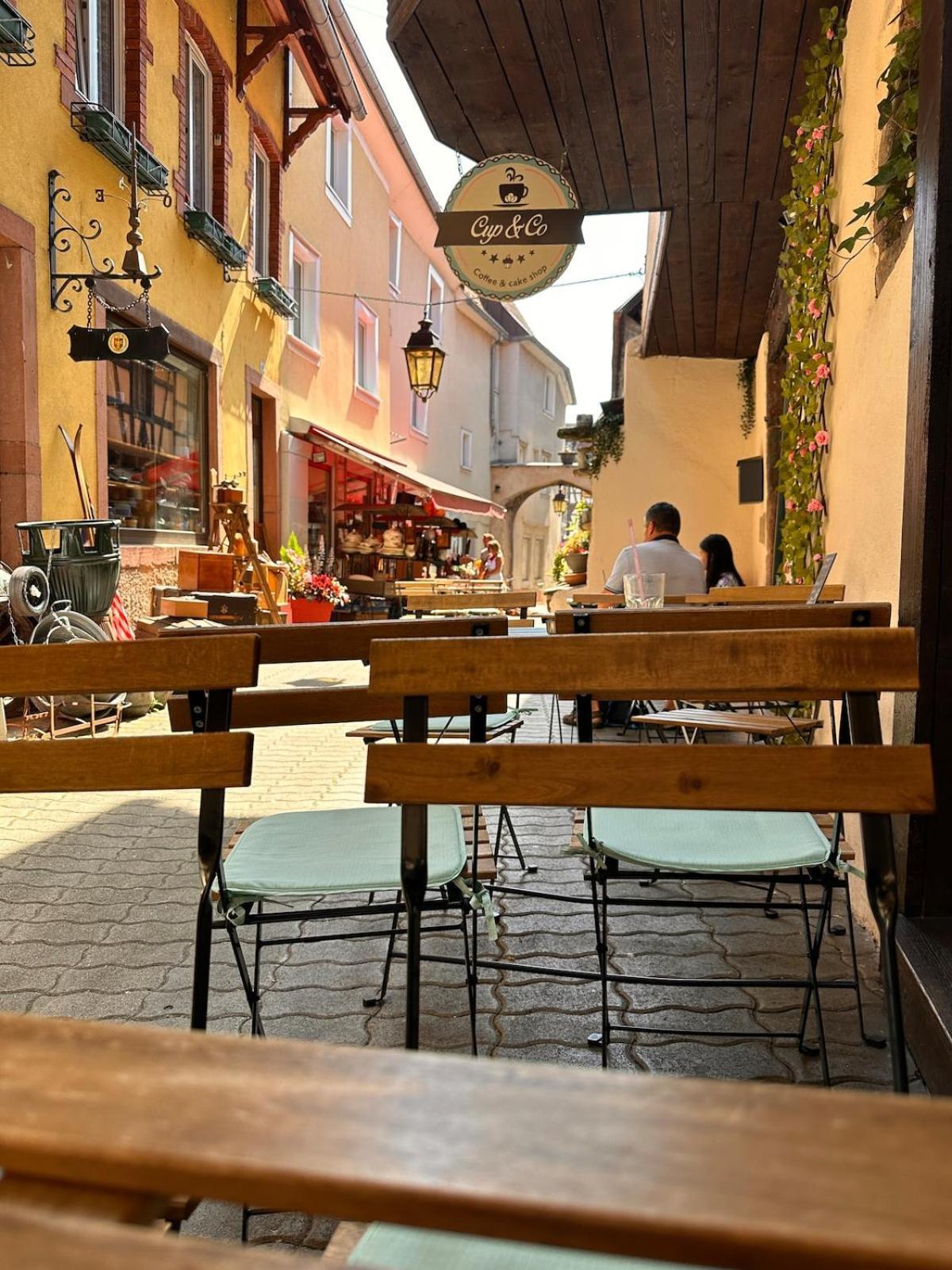 Le Nid Cosy D'Obernai /2Min Centre Ville/Parking Exteriér fotografie