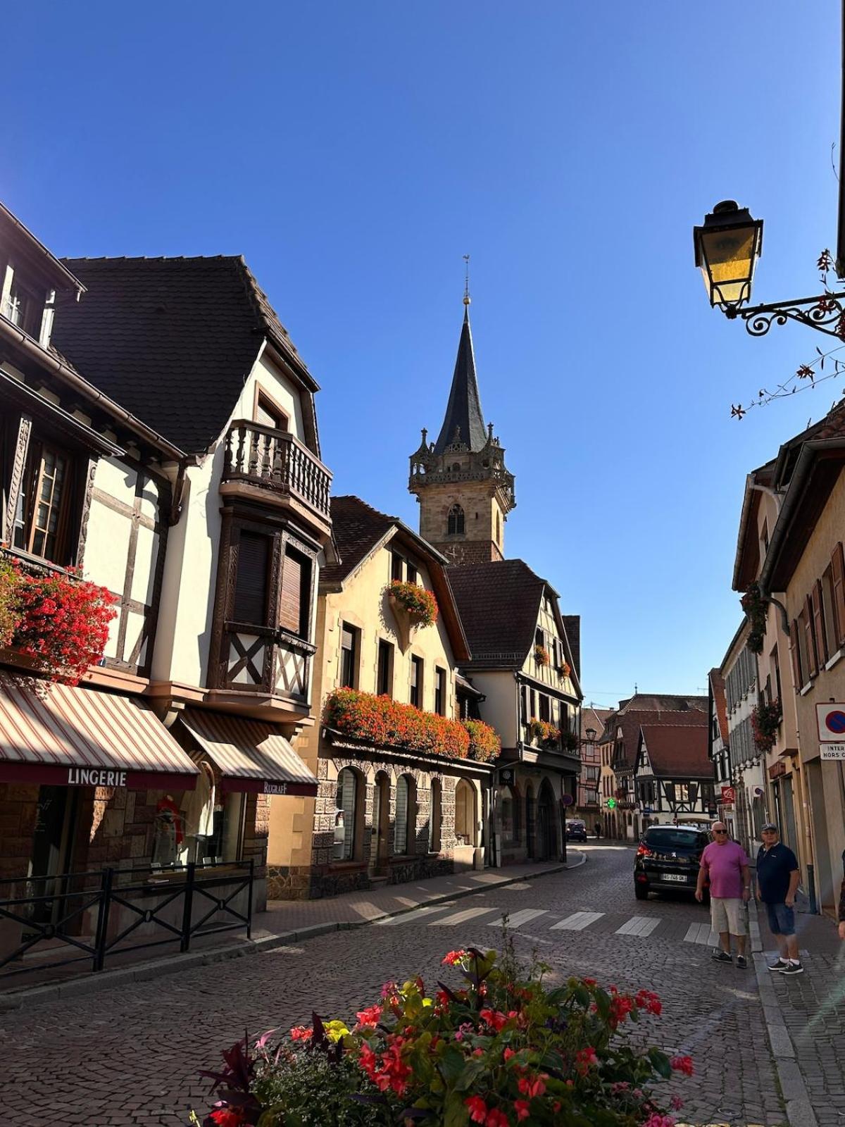 Le Nid Cosy D'Obernai /2Min Centre Ville/Parking Exteriér fotografie